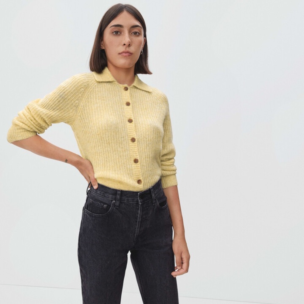 Everlane Collared Alpaca Cardigan